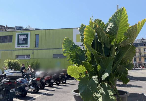 Déménagement de Quai 9: un collectif des Grottes réclame un moratoire