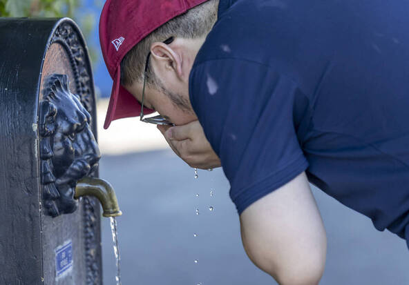Genève et de Vaud activent l'alerte canicule dès jeudi