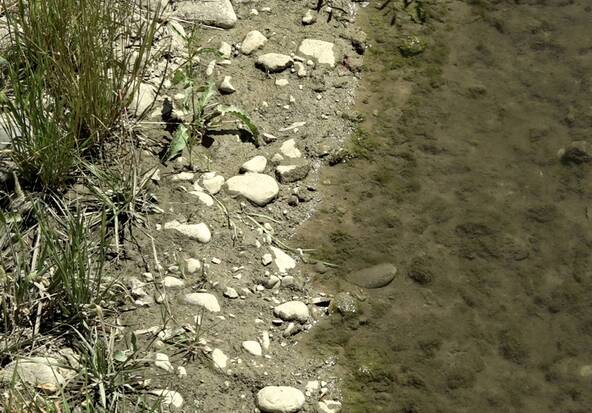 Sécheresse: la crainte d'un été meurtrier pour les cours d'eau genevois