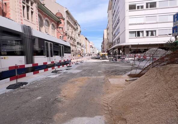 Interrogations au sujet des arbres de la rue de Carouge