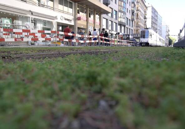 Rue de Carouge: le système d’indemnisation contesté