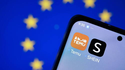 Temu sanctionné par l'UE pour des produits illégaux sur le site