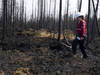 Les feux au Canada ont émis plus d'un milliard de tonnes de CO2