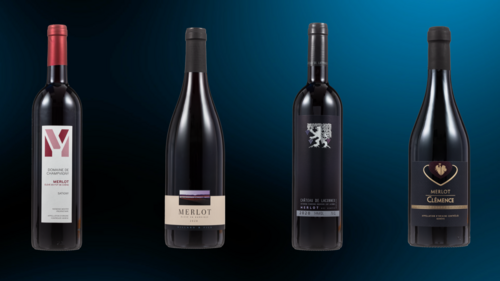 Quels sont les meilleurs vins de Genève en 2022? - Léman Bleu - Guide des Cépages - Découverte et Informations sur les Vins du Monde