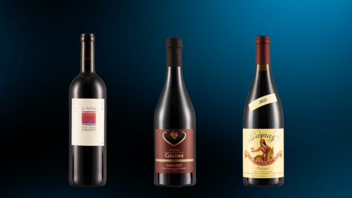 Copie de vins - gamaret gamay