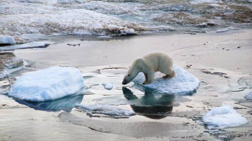 Vernier s'orne de linogravures inspirées du Grand Nord