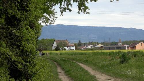 Campagne