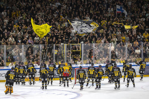 Ajoies Spieler jubeln mit ihren Fans nach dem Eishockey-Qualifikationsspiel der National League zwischen dem HC Ajoie und dem EHC Kloten in der Raiffeisen Arena in Porrentruy, am Samstag, 19. September 2026. (KEYSTONE/Georgios Kefalas)