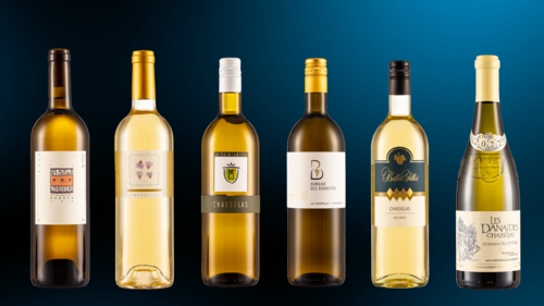 Copie de vins - chasselas