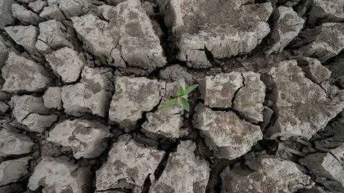 Le changement climatique, un facteur aggravant des sécheresses
