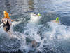 Environ 4300 nageurs à l'eau pour la Coupe de Noël à Genève