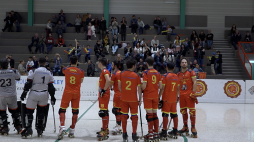Rinkhockey