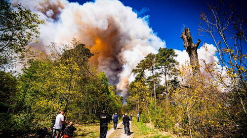 Pays-Bas: Un incendie ravage un terrain d'entraînement militaire