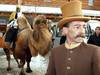En Arabie , un "hôtel" de luxe pour chameaux
