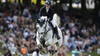 Pas de podium suisse