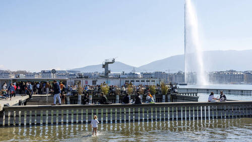 Le regard du photographe Michel Roggo sur les milieux subaquatiques