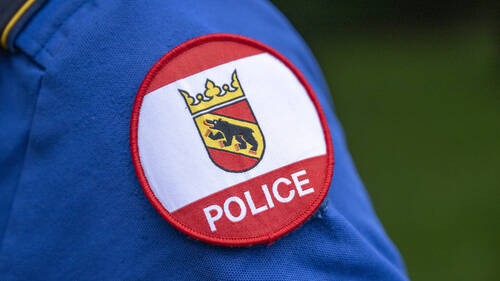 Deux chevaux tués à Lotzwil dans un accident avec une voiture