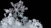 Le vent modifie la composition des flocons de neige