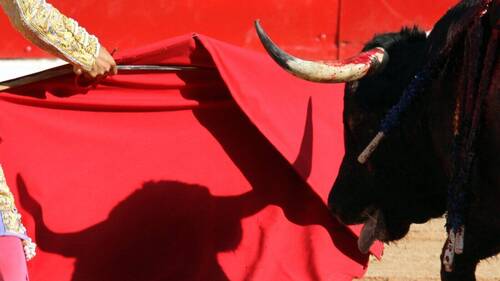 Un ancien matador mortellement encorné avant une corrida