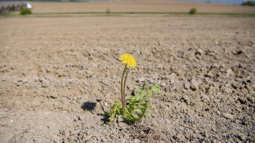 Les Suisses ont rejeté l'initiative fonds climat à 70,7%