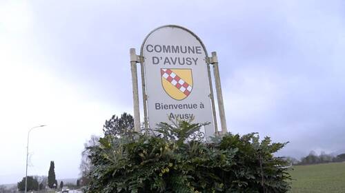 Avusy