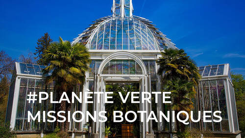 #Planète verte - missions botaniques