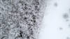 Les stations alpines couvertes d'or blanc pour Noël