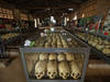 Génocide au Rwanda: Kabuga "inapte" à être jugé