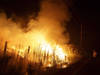 Mégafeux: la barre des 10 millions d'hectares brûlés franchie