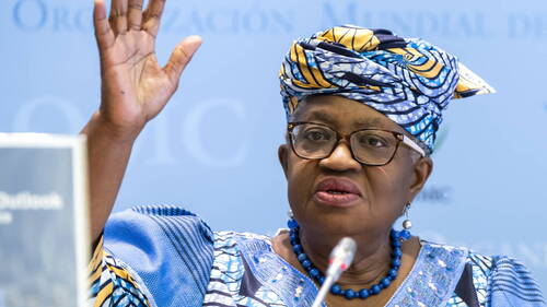 OMC: le facilitateur sur la réforme "raisonnablement optimiste"