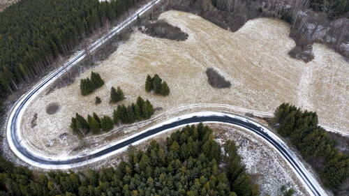Une femme de 58 ans tuée par un ours en Pologne