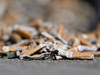 Les mégots de cigarettes sur les aires de jeux sont un risque