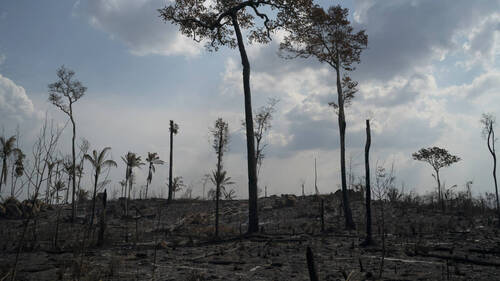 Brésil: la déforestation en Amazonie au plus bas au 1er semestre