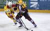 GSHC