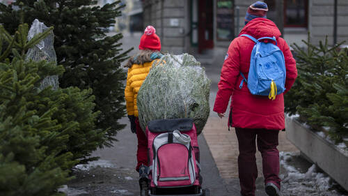 Un peu moins de deux millions de sapins de Noël vendus chaque année