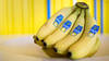 Panama: Chiquita annonce des licenciements liés à la grève