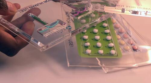 contraception
