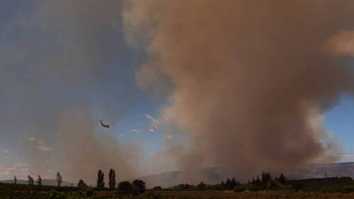 La canicule s'étend en France, 7800 hectares brûlés en huit jours