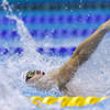Pas de finale pour les relayeurs du 4x100 m 4 nages