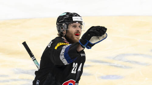 Gottéron et Davos s'imposent à domicile