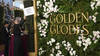 Les Golden Globes repassent les 10 millions de téléspectateurs