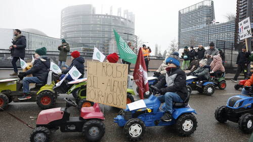 Mercosur: le Parlement européen saisit la justice de l'UE