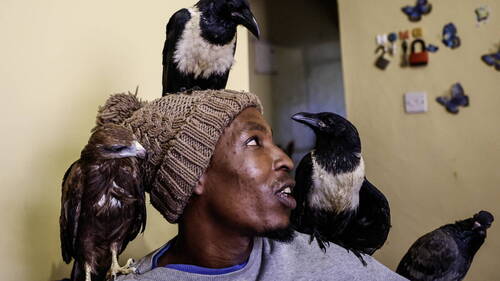 L'homme-oiseau de Nairobi fait le buzz, mais inquiète des médecins
