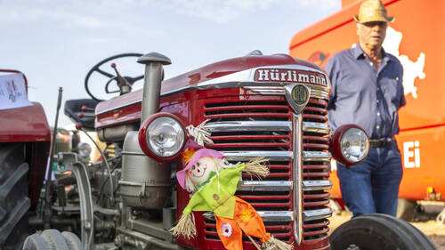 Des centaines de vieux tracteurs admirés à Vucherens (VD)