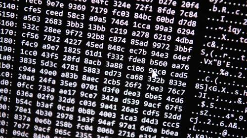 Le marché des cyberassurances est en pleine croissance