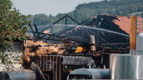 Environ 250 bovins périssent dans un incendie à Palézieux