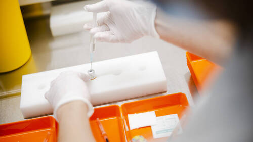 Les vaccins et antibiotiques ne sont plus sujets à pénurie grave