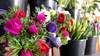 fleurs anémones