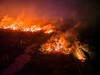 Incendies record dans la plus grande zone humide de la planète