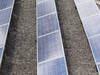 7300 signatures pour plus de solaire à Genève